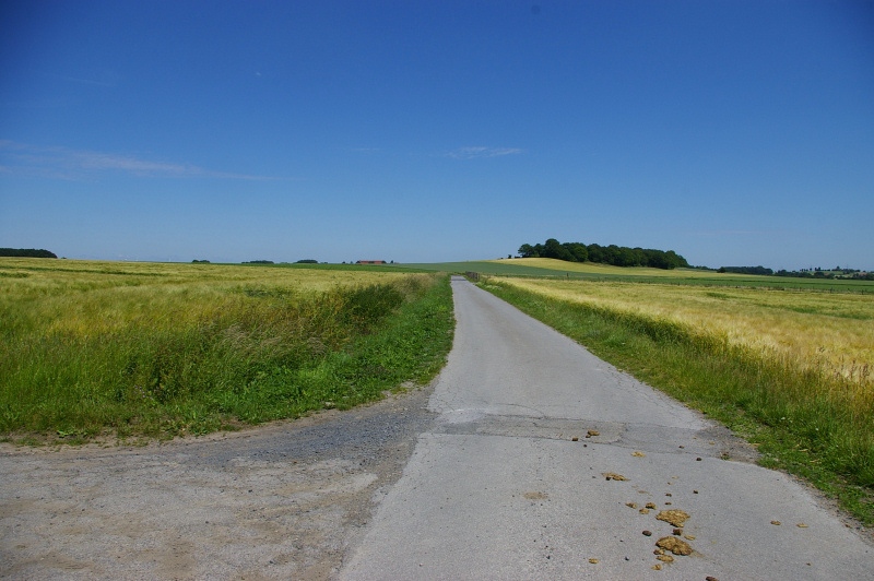 Datei:Griese Hagen02.jpg