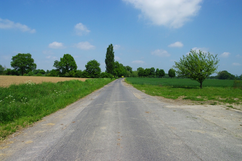 Datei:In der Niedervoehde02.jpg