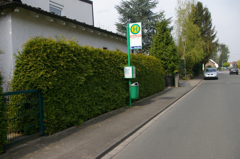 Datei:HS Haselnussstrasse.jpg