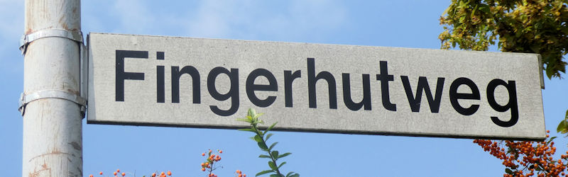 Datei:Strassenschild Fingerhutweg.jpg
