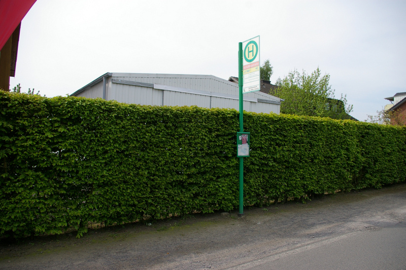 Datei:HS Schellingstrasse.jpg