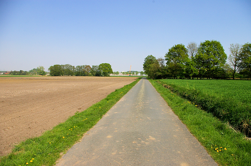 Datei:Im Nachtigallental02.jpg