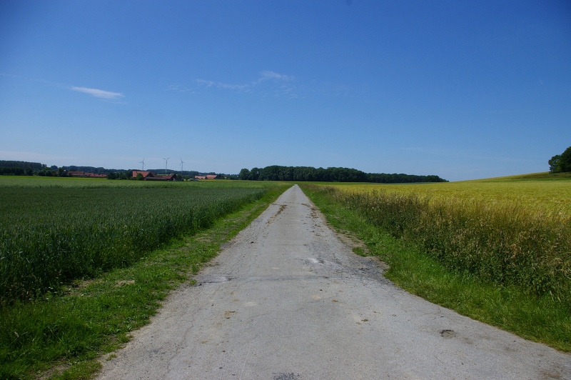 Datei:Griese Hagen03.jpg