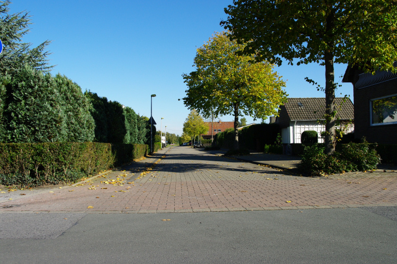 Datei:Breite Hecke01.jpg