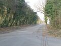 Arthur-Dewitz-Straße