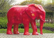 Elefant 21.jpg