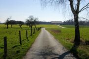 Selbachstrasse01.jpg