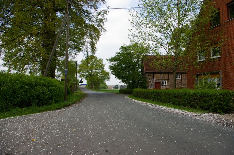 Horsthölterweg Ecke Norddinkerweg Richtung Obere Rothe