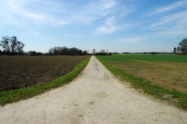 Straße-RH99 von der Straße-RH98 aus