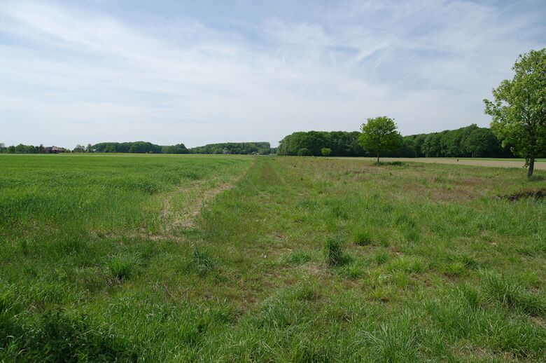 Straße-RH147 von der Straße-RH142 aus