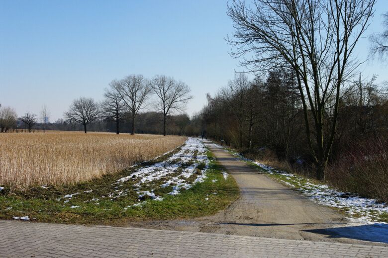 Geitheufer vom Am Hagenkamp aus Richtung Osten