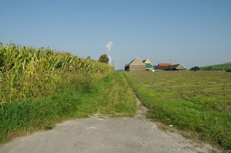 Straße-PE07 von der Selbachstraße aus