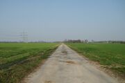 Strasse RH163 01.jpg