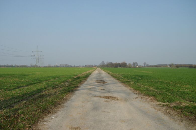 Straße-RH163 von der Illinger Straße aus