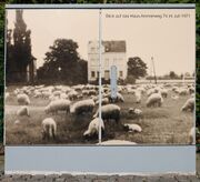 Blickfang UE018.jpg