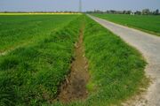 Dienebach02.jpg