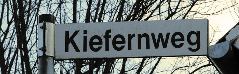 Straßenschild Kiefernweg