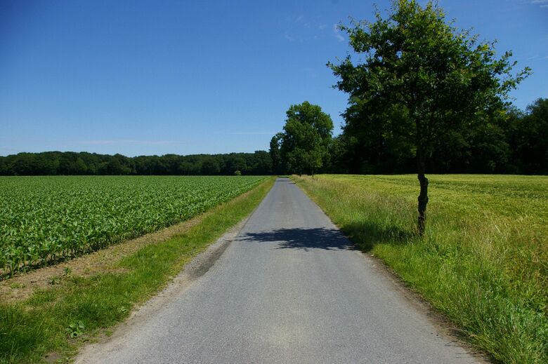 Nagelheide von In der Sommerbree aus