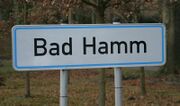 OHT Bad Hamm.jpg