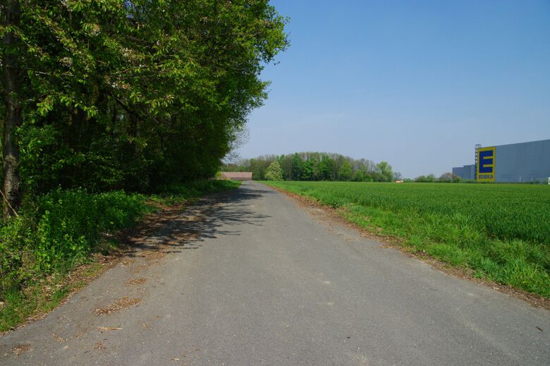 Renninghoffweg von Im Sutenkamp aus