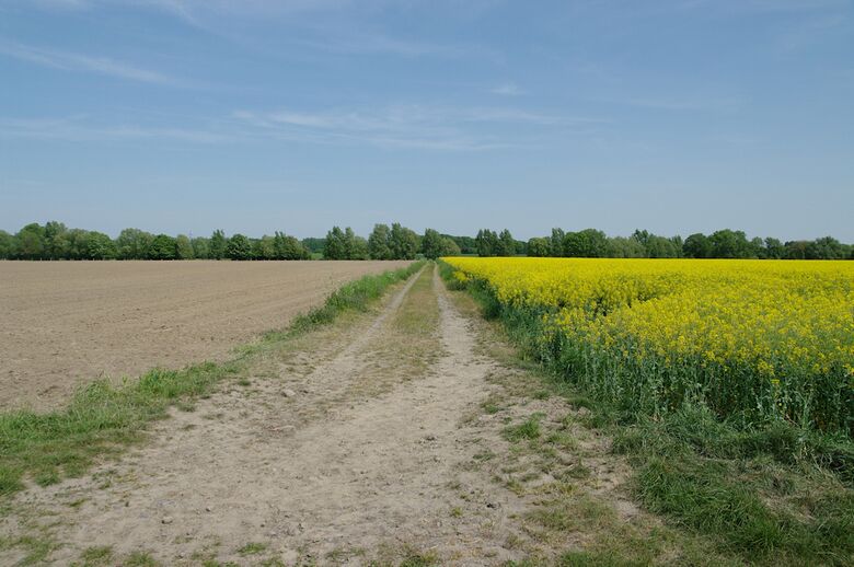 Straße-RH131 von der Straße-RH129 aus