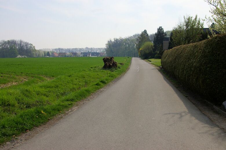 Tünner Blick vom Weingarten aus