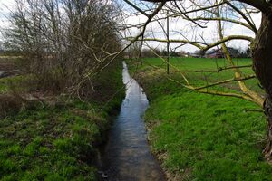 Bild Mesenbach