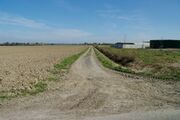 Strasse RH139 01.jpg