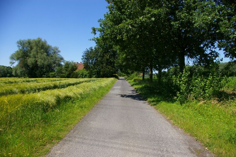 Plassholt vom Barkerfeld aus
