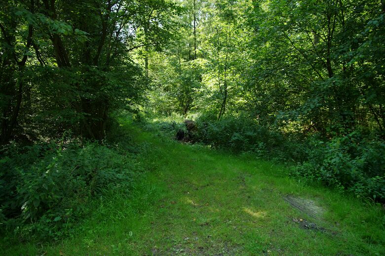 Straße-UE112 vom Saalkampweg aus