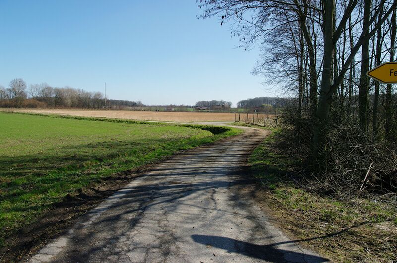 Datei:Strasse RH82 01.jpg