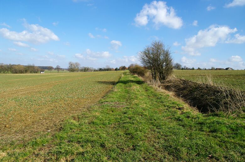 Straße-RH91 von der Straße-RH90 aus