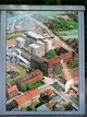 Blickfang BH047.jpg