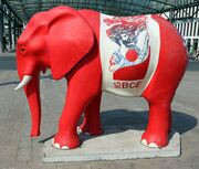Elefant IGBCE.jpg