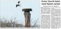 Westfälischer Anzeiger, 07.02.2014