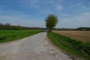 Bornstrasse03.jpg