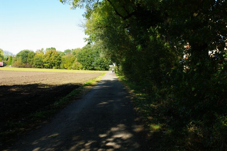 Fritz-Baudach-Weg in Richtung Holzstraße