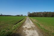Strasse RH123 01.jpg