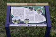 Auenpark-16.jpg