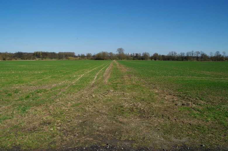 Straße-RH175 vom Caldenhofer Weg aus