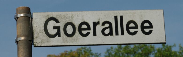 Straßenschild Goerallee