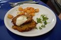 Zucchinireibeplätzchen mit Aioli und Eismeergarnelen (Maxigastro)