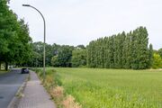 Charlotte-Buehler-Straße 2022.jpg