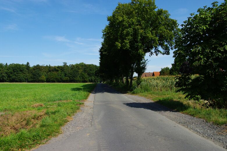 Im Giesendahl Richtung Lippestraße
