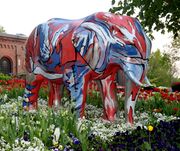 Elefant 2009 13.jpg