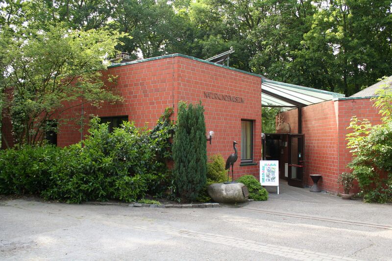 Datei:Naturkundemuseum 2009 02.jpg