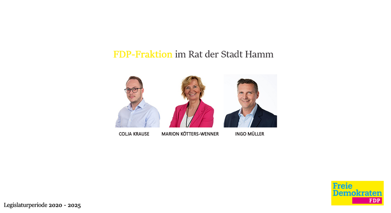 Datei:FDP-Fraktion 2020-2025.png