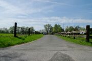 Strasse BH06 01.jpg