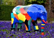 Elefant 2009 9.jpg
