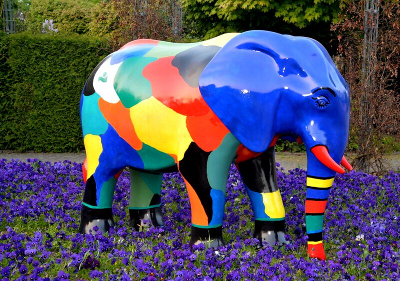 Datei:Elefant 2009 9.jpg